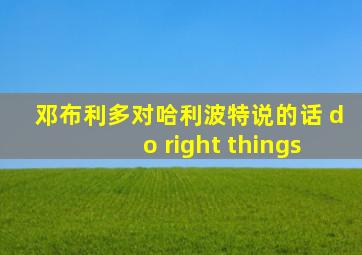 邓布利多对哈利波特说的话 do right things